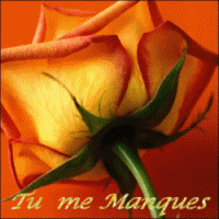 ~~*** Tu me manque ***~~